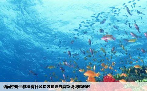 请问茶叶当枕头有什么功效知道的麻烦说说哈谢谢