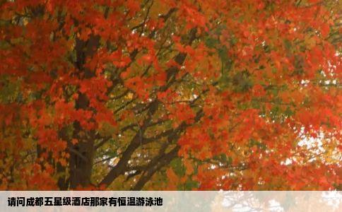 请问成都五星级酒店那家有恒温游泳池