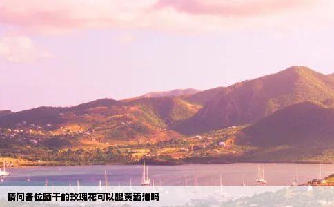 请问各位晒干的玫瑰花可以跟黄酒泡吗