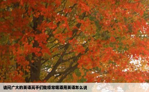 请问广大的英语高手们我经常喝酒用英语怎么说