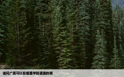 请问广西可以在哪里学到调酒的呢