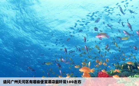 请问广州天河区有哪些便宜酒店最好是100左右