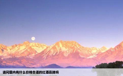 请问国内有什么价格合适的红酒品牌吗