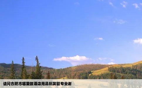 请问合肥市哪里做酒店用品批发较专业谢