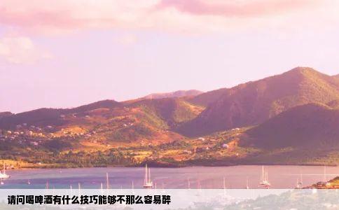 请问喝啤酒有什么技巧能够不那么容易醉