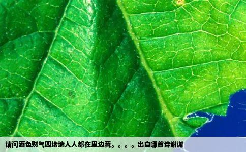 请问酒色财气四堵墙人人都在里边藏出自哪首诗谢谢