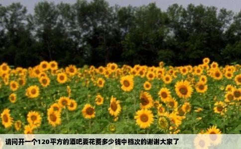 请问开一个120平方的酒吧要花费多少钱中档次的谢谢大家了