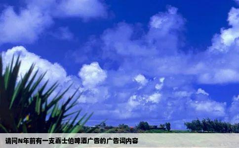 请问N年前有一支嘉士伯啤酒广告的广告词内容