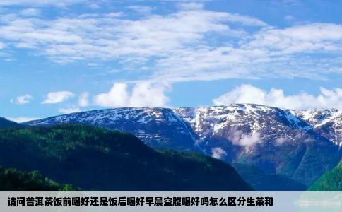 请问普洱茶饭前喝好还是饭后喝好早晨空腹喝好吗怎么区分生茶和