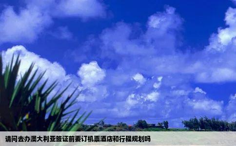 请问去办澳大利亚签证前要订机票酒店和行程规划吗