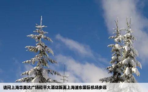 请问上海华美达广场和平大酒店距离上海浦东国际机场多远