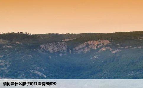 请问是什么牌子的红酒价格多少