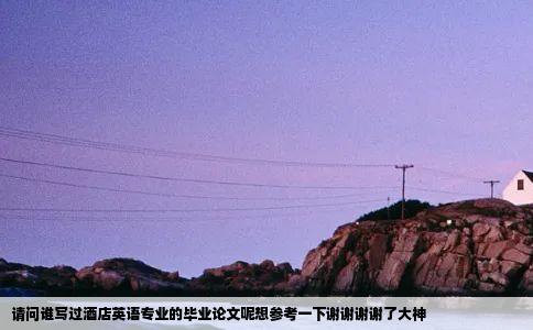 请问谁写过酒店英语专业的毕业论文呢想参考一下谢谢谢谢了大神