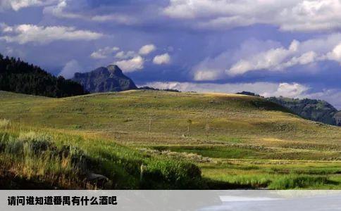 请问谁知道番禺有什么酒吧