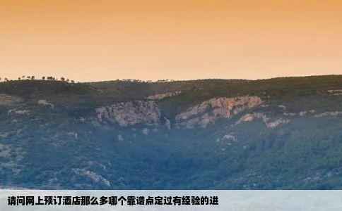 请问网上预订酒店那么多哪个靠谱点定过有经验的进