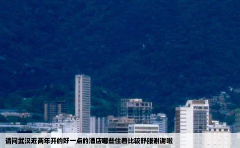 请问武汉近两年开的好一点的酒店哪些住着比较舒服谢谢啦