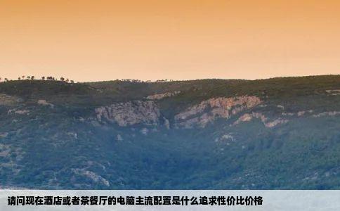 请问现在酒店或者茶餐厅的电脑主流配置是什么追求性价比价格