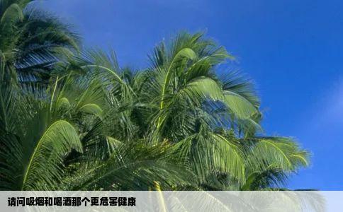 请问吸烟和喝酒那个更危害健康