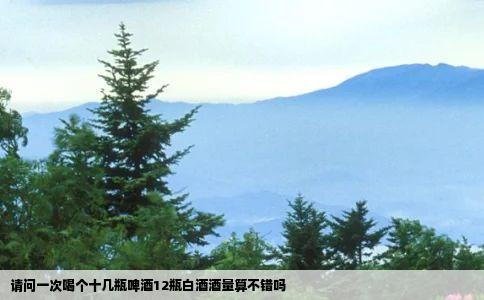 请问一次喝个十几瓶啤酒12瓶白酒酒量算不错吗