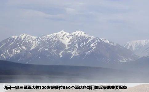 请问一家三星酒店共120客房餐位560个酒店各部门加起来总共要配备