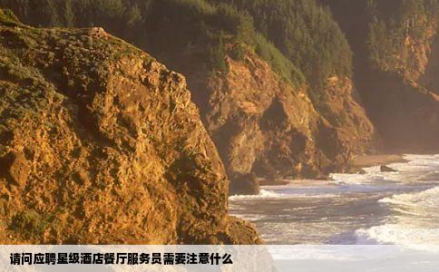 请问应聘星级酒店餐厅服务员需要注意什么