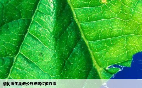 请问医生我老公昨晚喝过多白酒