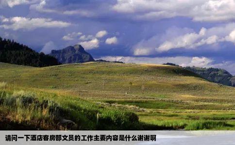 请问一下酒店客房部文员的工作主要内容是什么谢谢啊