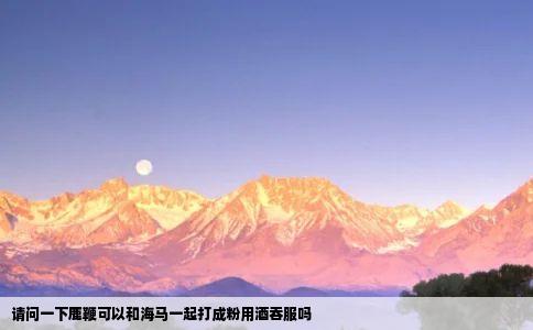 请问一下鹿鞭可以和海马一起打成粉用酒吞服吗