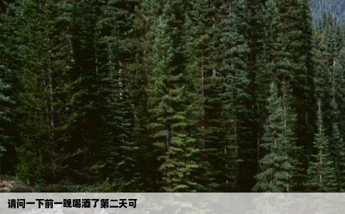 请问一下前一晚喝酒了第二天可