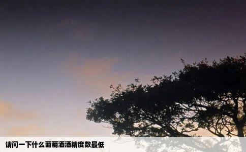 请问一下什么葡萄酒酒精度数最低