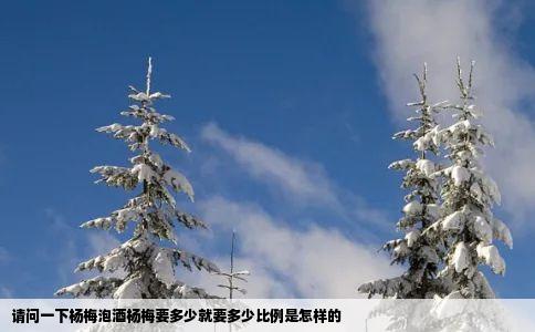 请问一下杨梅泡酒杨梅要多少就要多少比例是怎样的