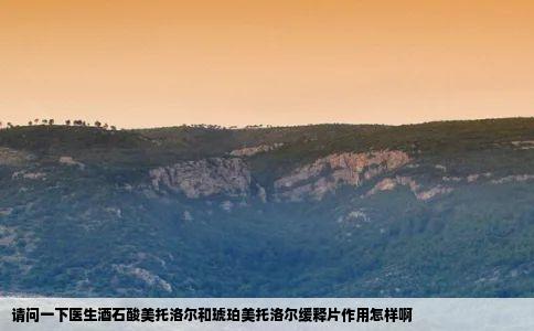 请问一下医生酒石酸美托洛尔和琥珀美托洛尔缓释片作用怎样啊