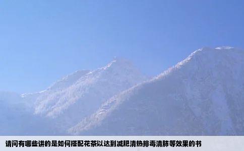 请问有哪些讲的是如何搭配花茶以达到减肥清热排毒清肺等效果的书
