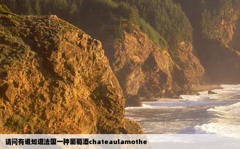 请问有谁知道法国一种葡萄酒chateaulamothe
