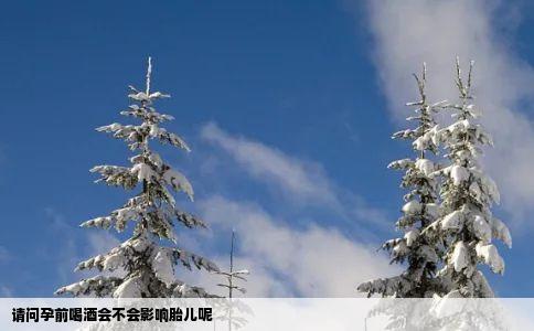 请问孕前喝酒会不会影响胎儿呢