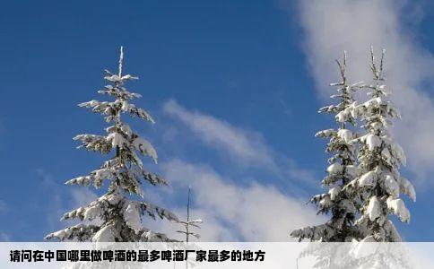 请问在中国哪里做啤酒的最多啤酒厂家最多的地方