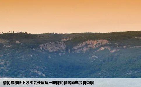 请问怎样脸上才不会长痘痘一吃辣的和喝酒就会有烦啊