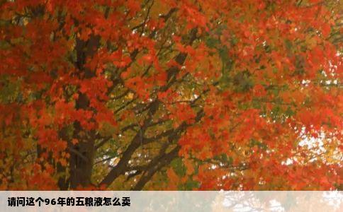 请问这个96年的五粮液怎么卖