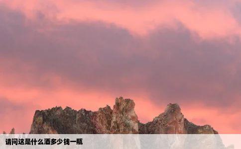 请问这是什么酒多少钱一瓶