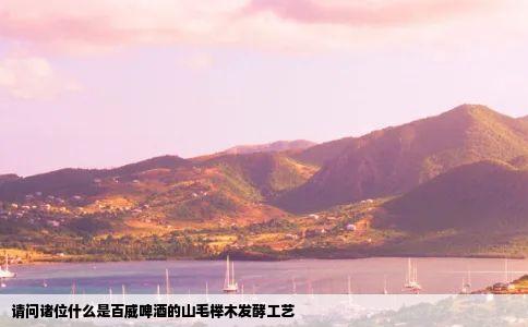 请问诸位什么是百威啤酒的山毛榉木发酵工艺