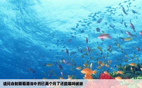 请问自制葡萄酒泡中药已两个月了还能喝吗谢谢