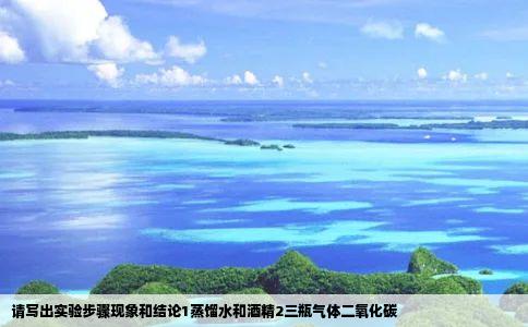 请写出实验步骤现象和结论1蒸馏水和酒精2三瓶气体二氧化碳