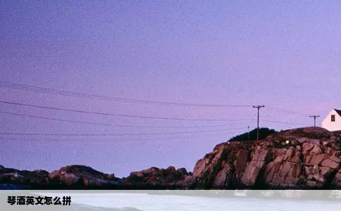 琴酒英文怎么拼