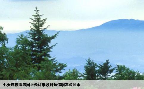 七天连锁酒店网上预订未收到短信啊怎么回事
