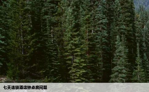 七天连锁酒店钟点房问题