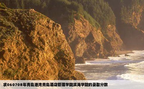 求060708年青岛港湾青岛酒店管理学院滨海学院的录取分数