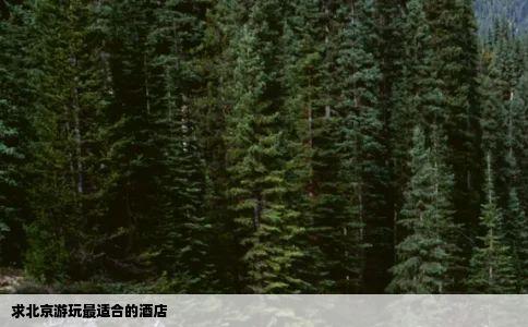 求北京游玩最适合的酒店