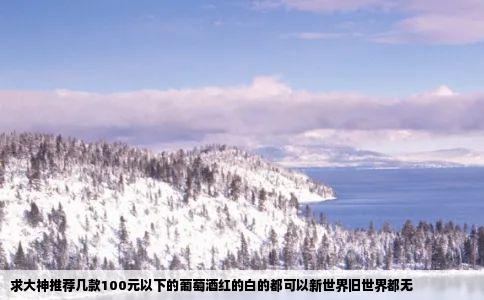 求大神推荐几款100元以下的葡萄酒红的白的都可以新世界旧世界都无