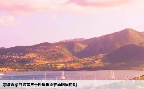 求歌温柔的谎言三十四集里面在酒吧里的Dj