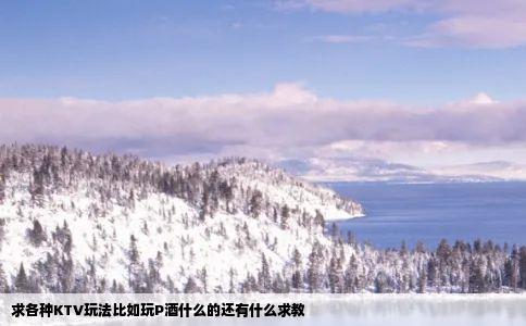 求各种KTV玩法比如玩P酒什么的还有什么求教